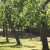 campingyuste (62)